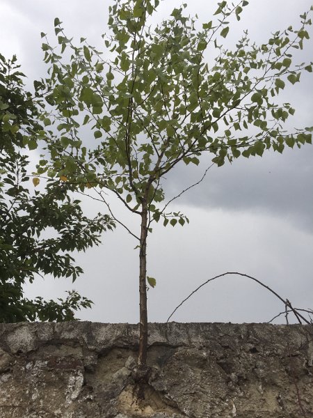 Iphone 14.09.2017 812.JPG